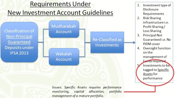 Investment Account Guidelines